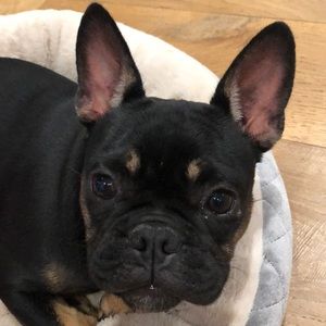 Meet your Posher, Kelly